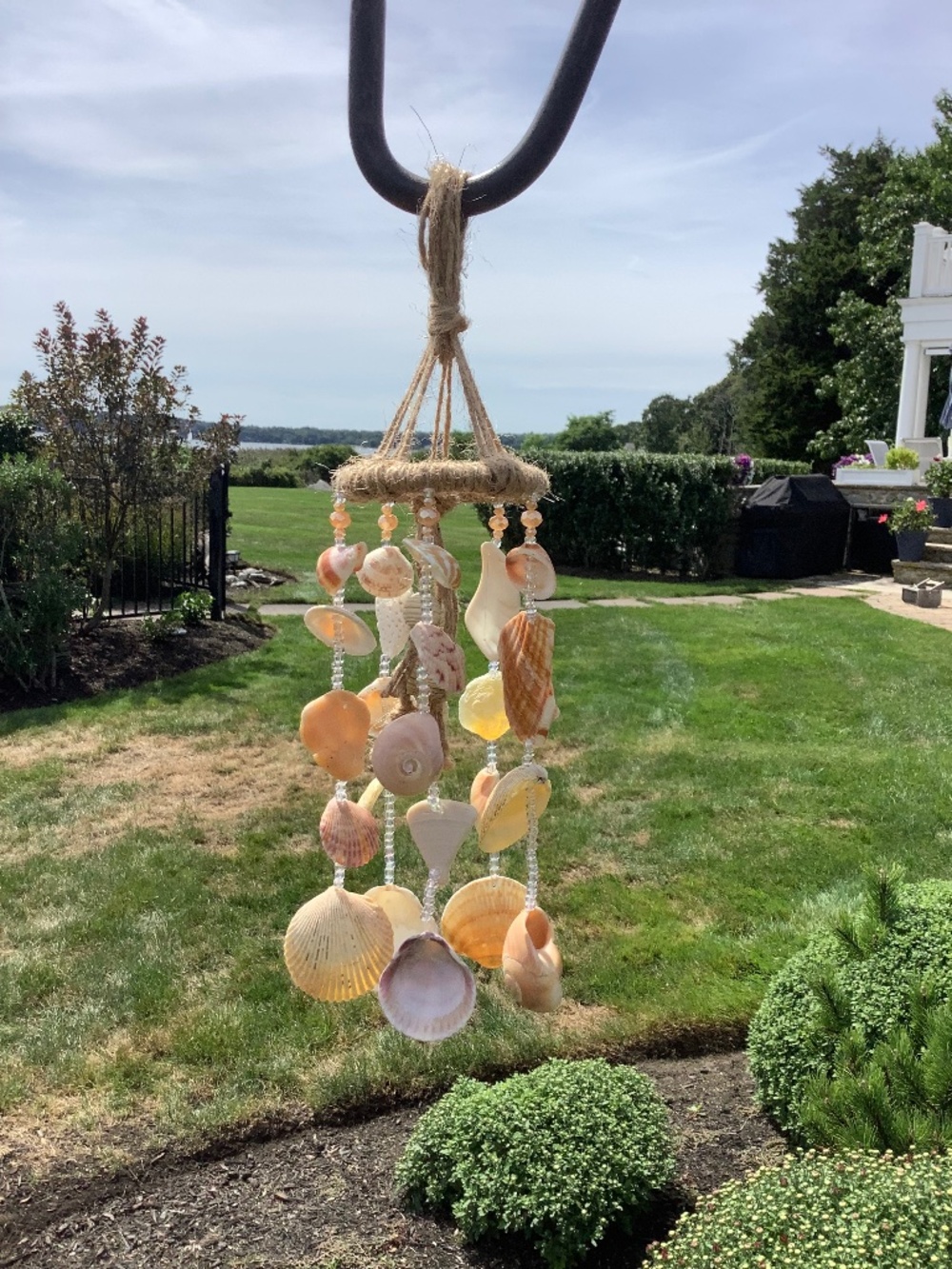 Shell windchime